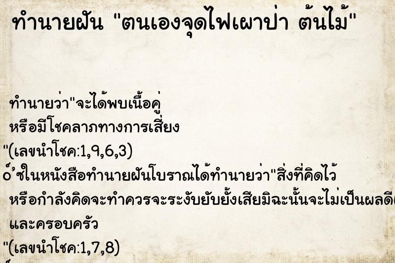 ทำนายฝัน ตนเองจุดไฟเผาป่า ต้นไม้ ทำนายฝัน ตนเองจุดไฟเผาป่า ต้นไม้